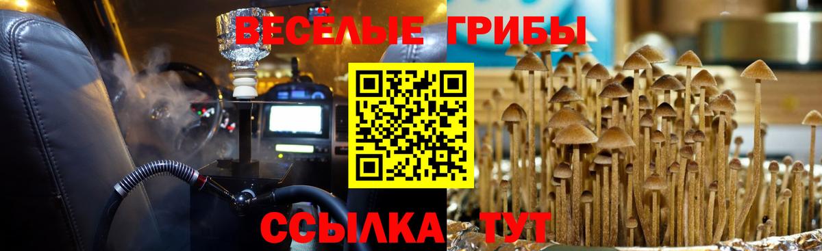 Галлюциногенные грибы мицелий  купить  сайты  Вход с VPN  Соль-Илецк  Псилоцибиновые грибы прущие грибы 